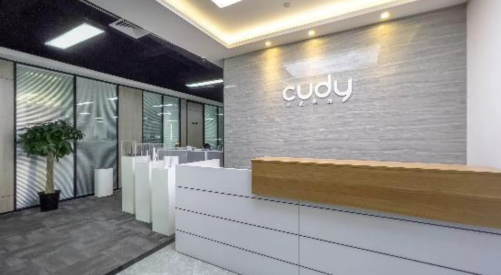 کودی Cudy